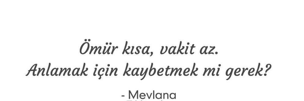 saracoglu_65's profile banner image