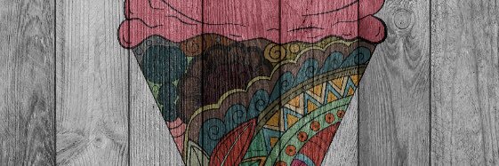 Salma Rocha banner