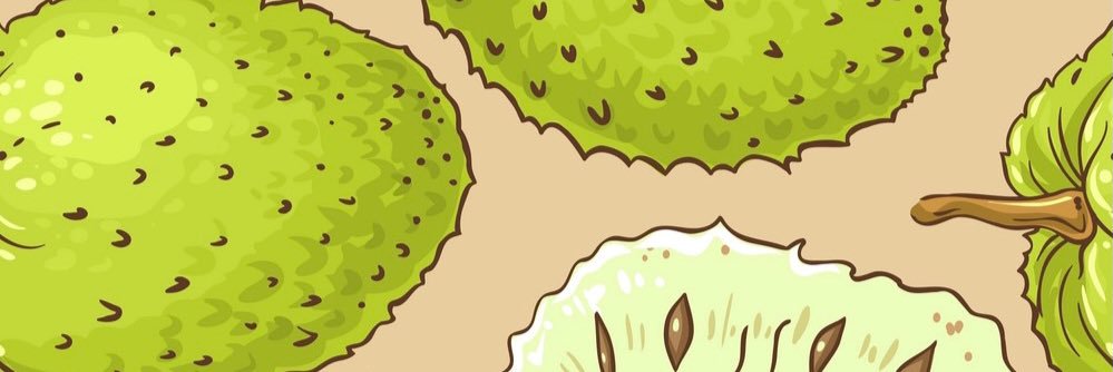 FidaIbtisam's profile banner image