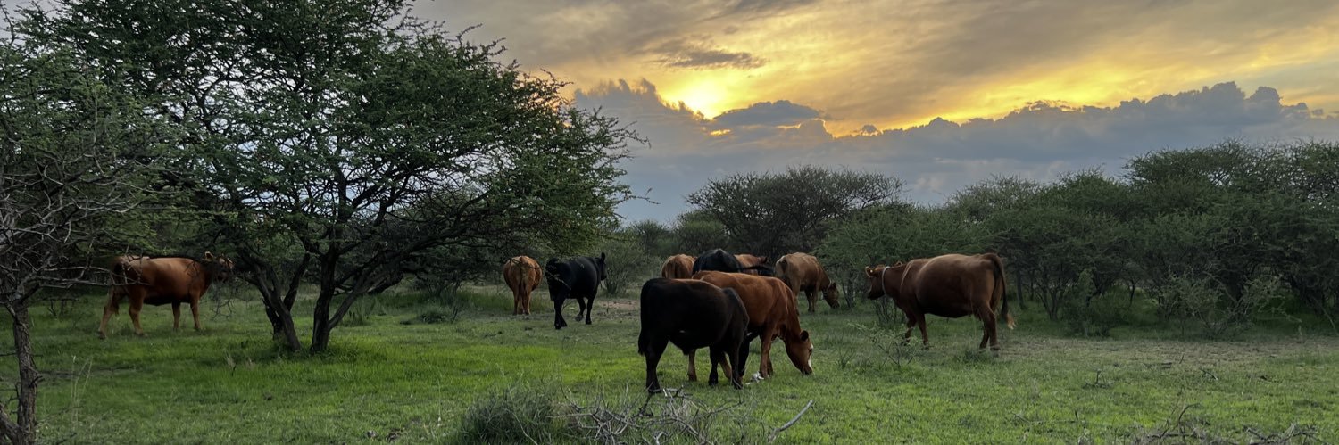 The Meating Block banner
