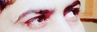 Haider banner
