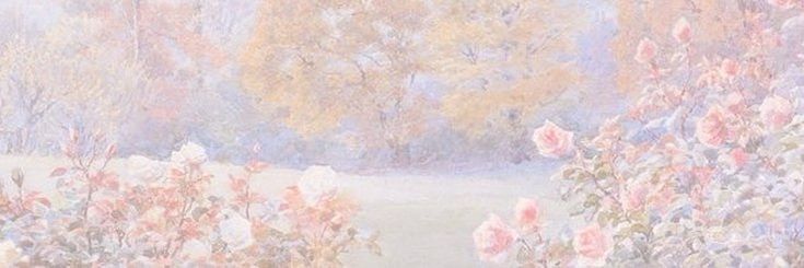 starwlli's profile banner image