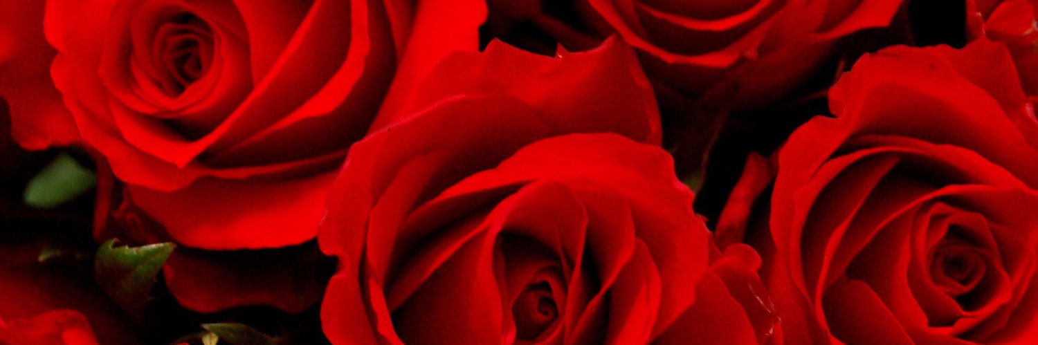 ___zzul's profile banner image
