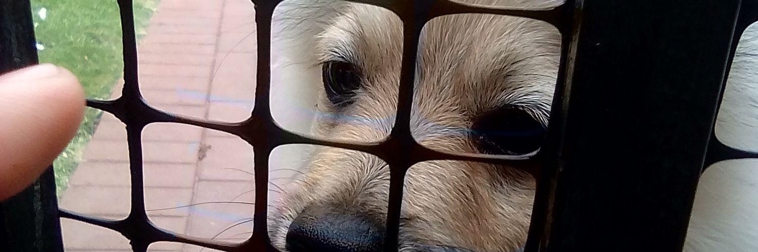 JoshuaS0102's profile banner image