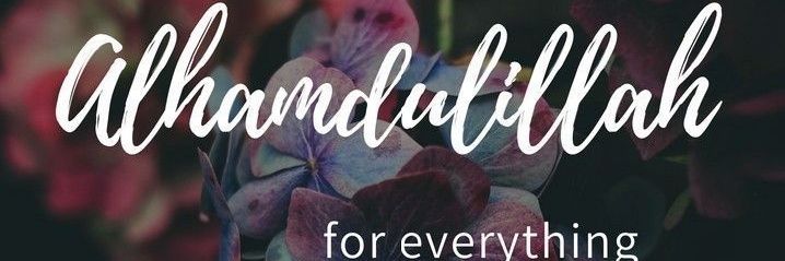 radin_nil's profile banner image