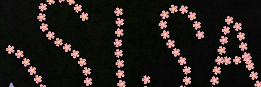 SindiM16's profile banner image
