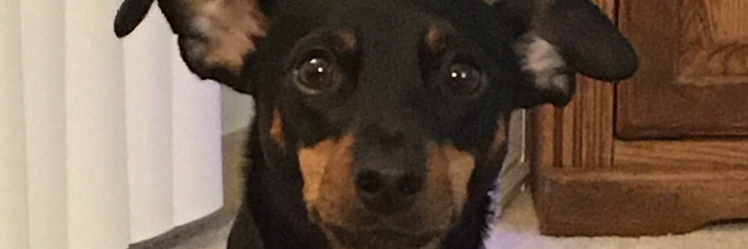 amandalenab's profile banner image