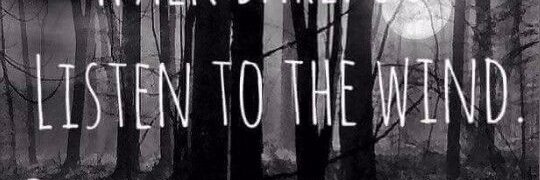 FiveCentNotion's profile banner image