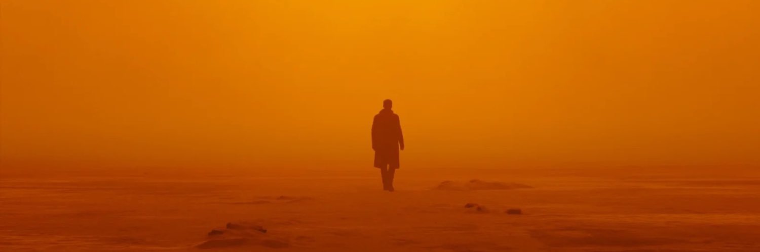 peterhorvath's profile banner image