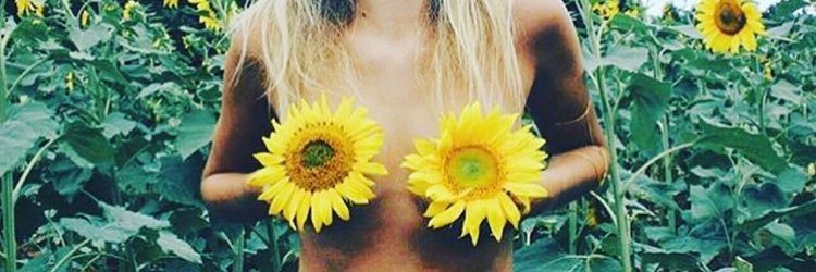 exotickae's profile banner image