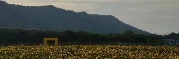 yuting13913 Profile Banner