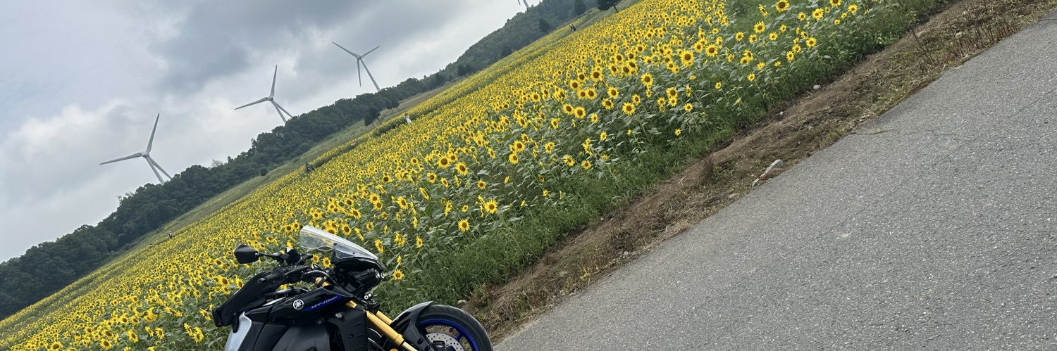 bluemaistar's profile banner image
