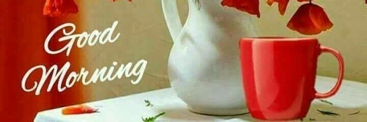 Aditya33961335's profile banner image