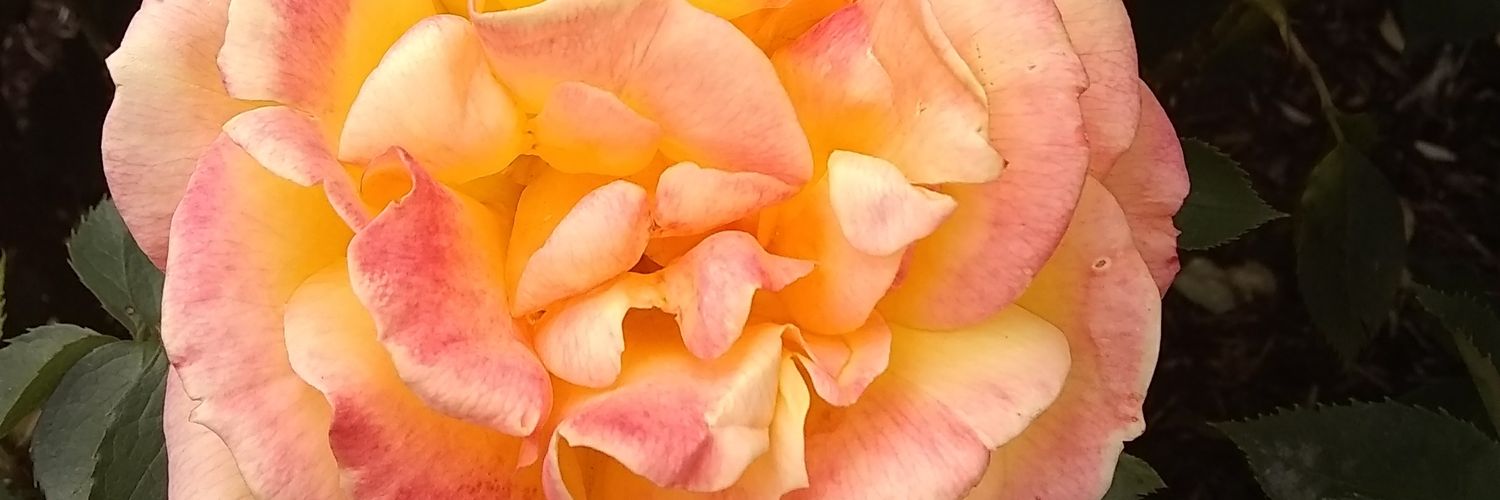 DerynTheAnarchist banner