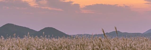 ปิ๊ก้าาาจู๋🥀 banner