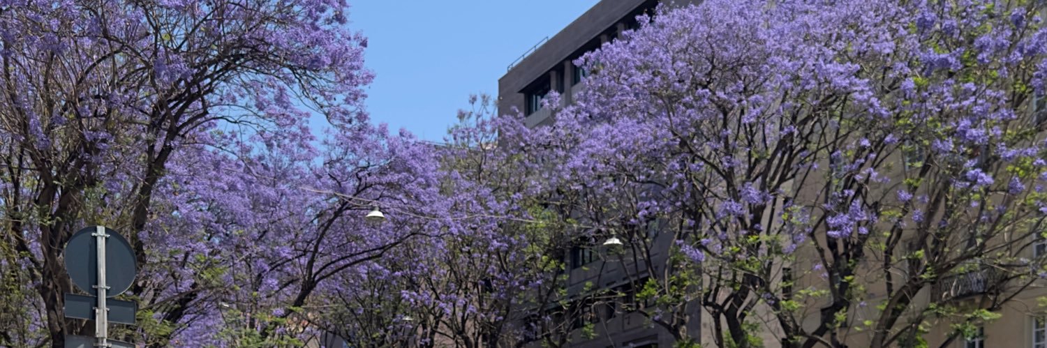 ofevindel's profile banner image
