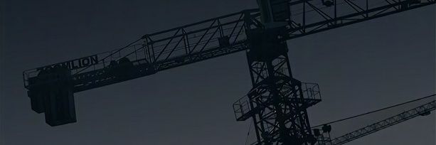 синица p.b. banner