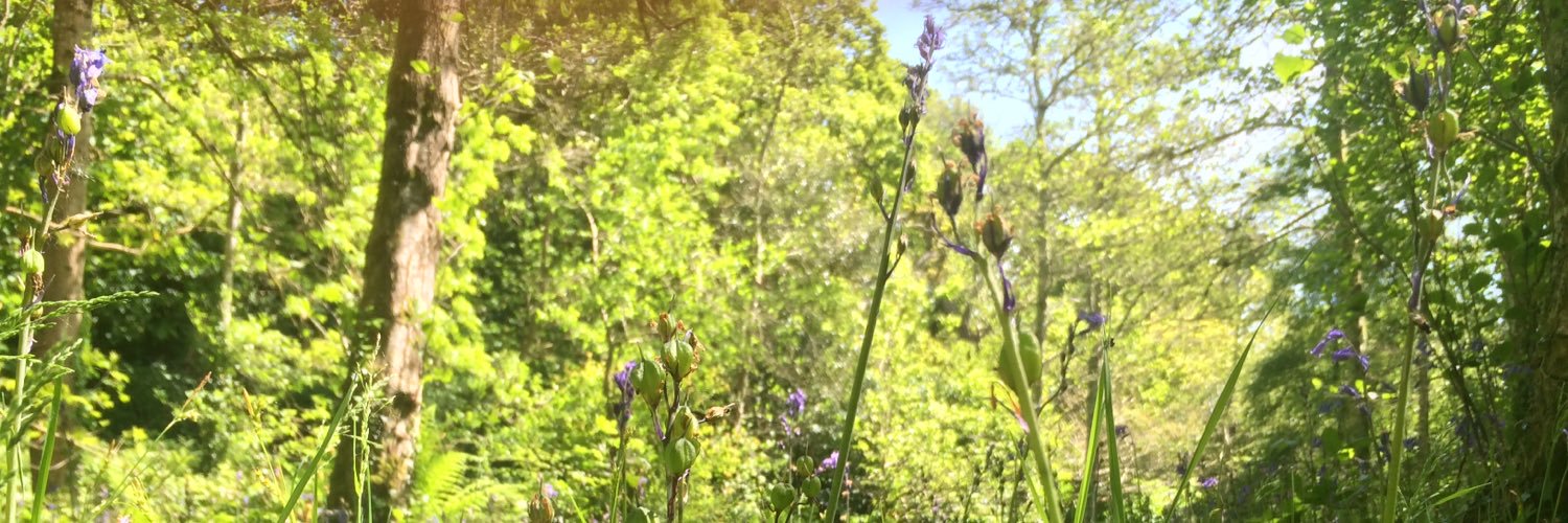 cornishcream94's profile banner image