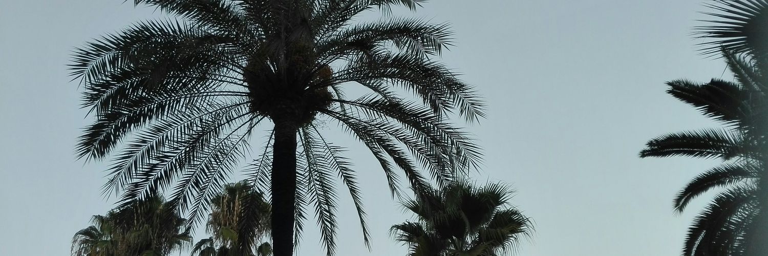 suteki_x's profile banner image