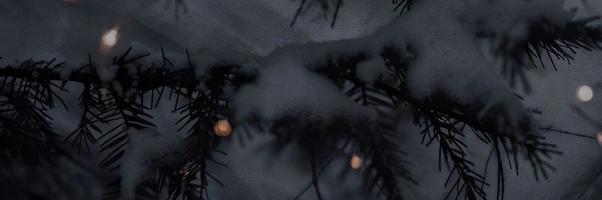 Ebliga's profile banner image