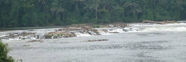 ndongeugene Profile Banner