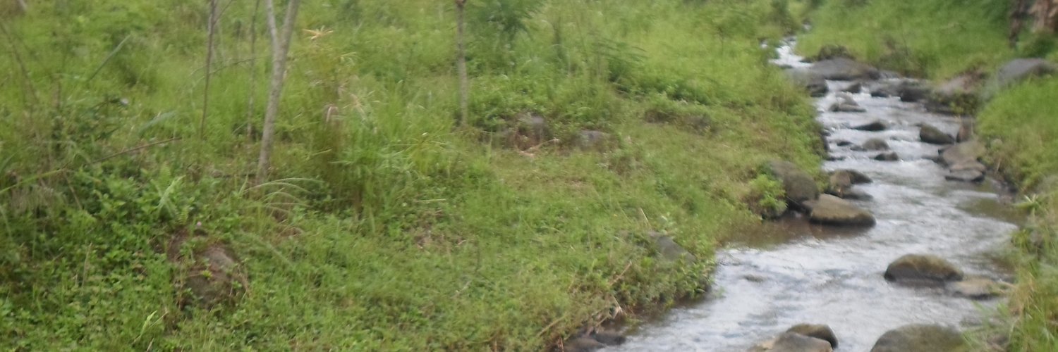 ramashidqi's profile banner image