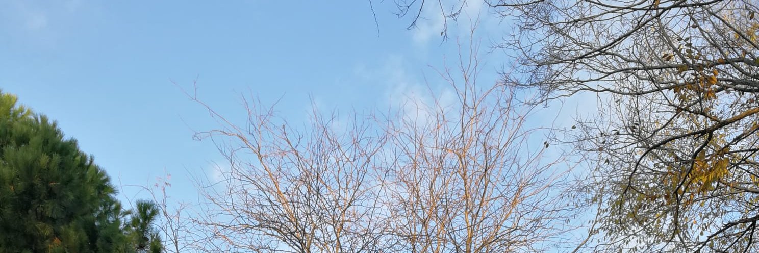 desirebuh's profile banner image