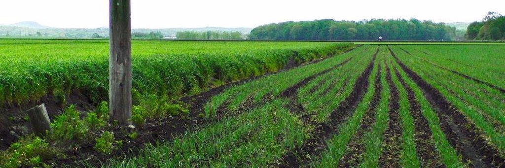 Times Herald-Record banner