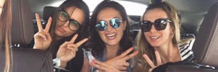 Paige *This is a Parody Account* banner