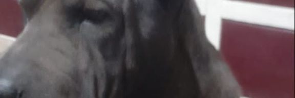 MCLopez69's profile banner image
