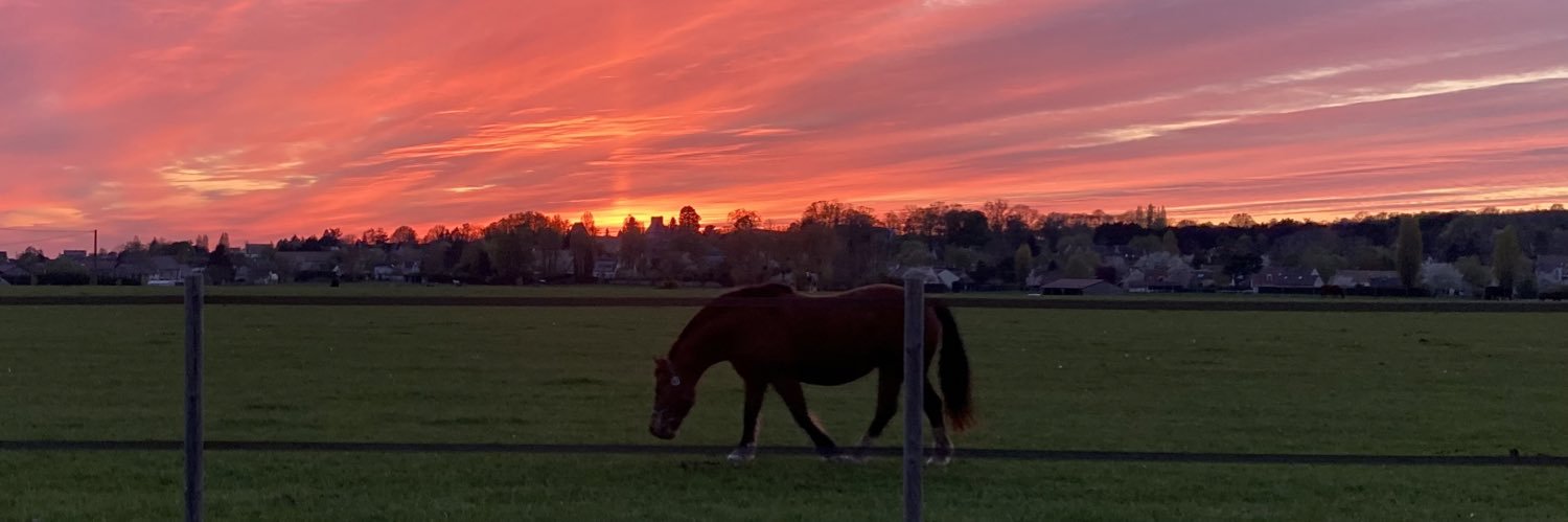 Henri Bordelais banner