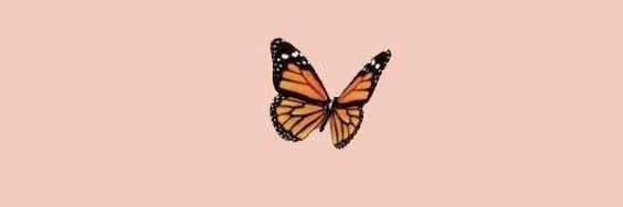 JONATHAN FROM CHURCH 🇵🇸 banner