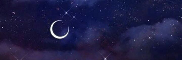 moani_brandao's profile banner image