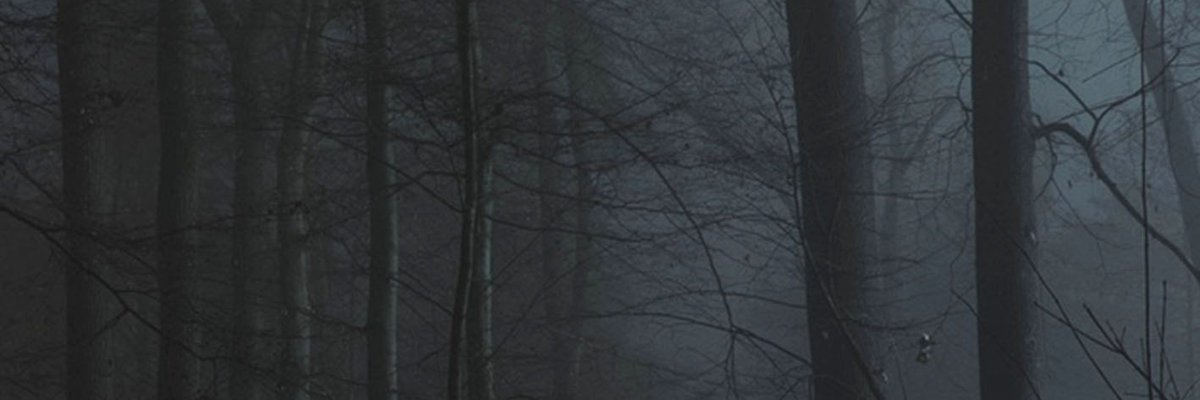 Elihdorr's profile banner image