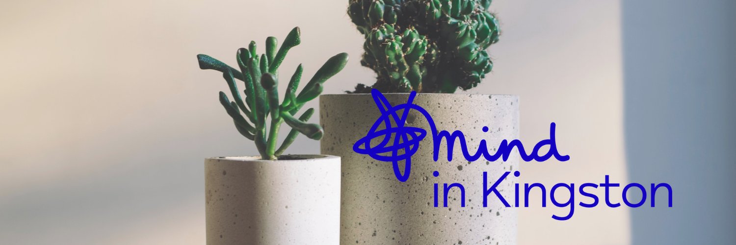 Mind in Kingston banner