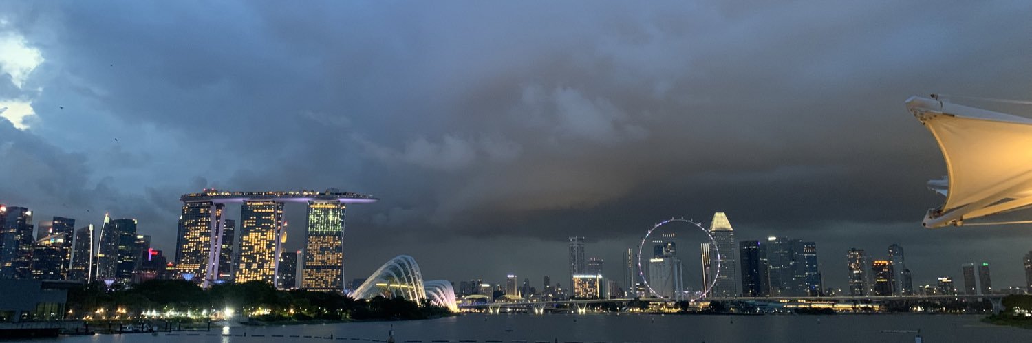 widiarthani's profile banner image