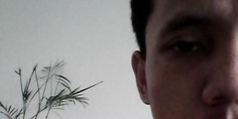 #ngelantur🦉🍉 banner