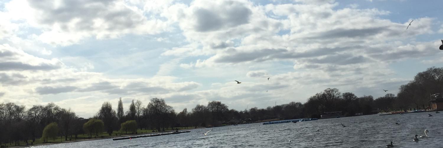 Reembaasem's profile banner image