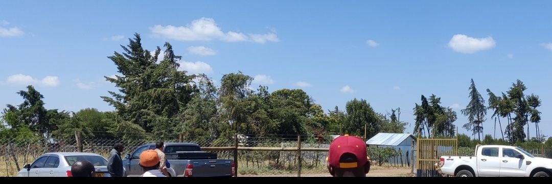 George O. Abuto banner