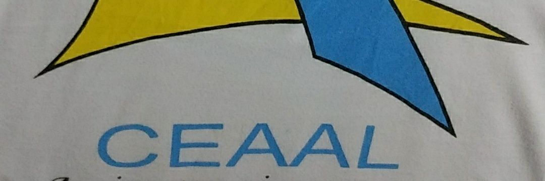 ceaal_org's profile banner image