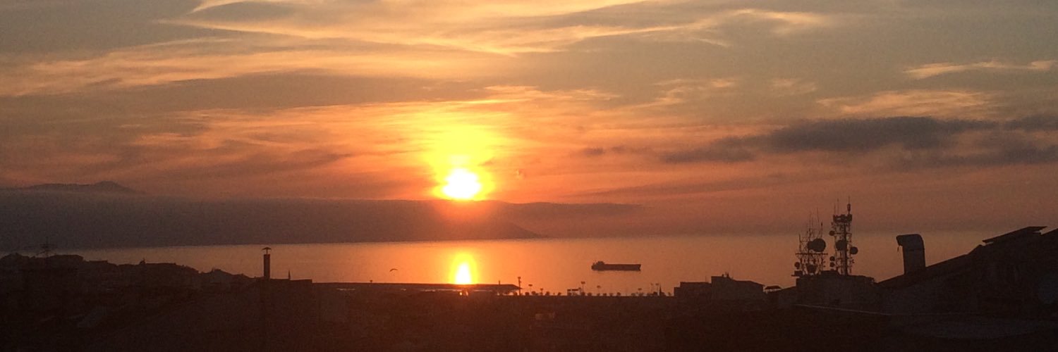 arapyildizi's profile banner image