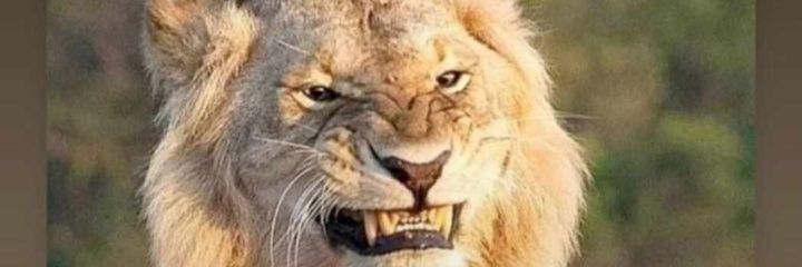 TimBar42's profile banner image