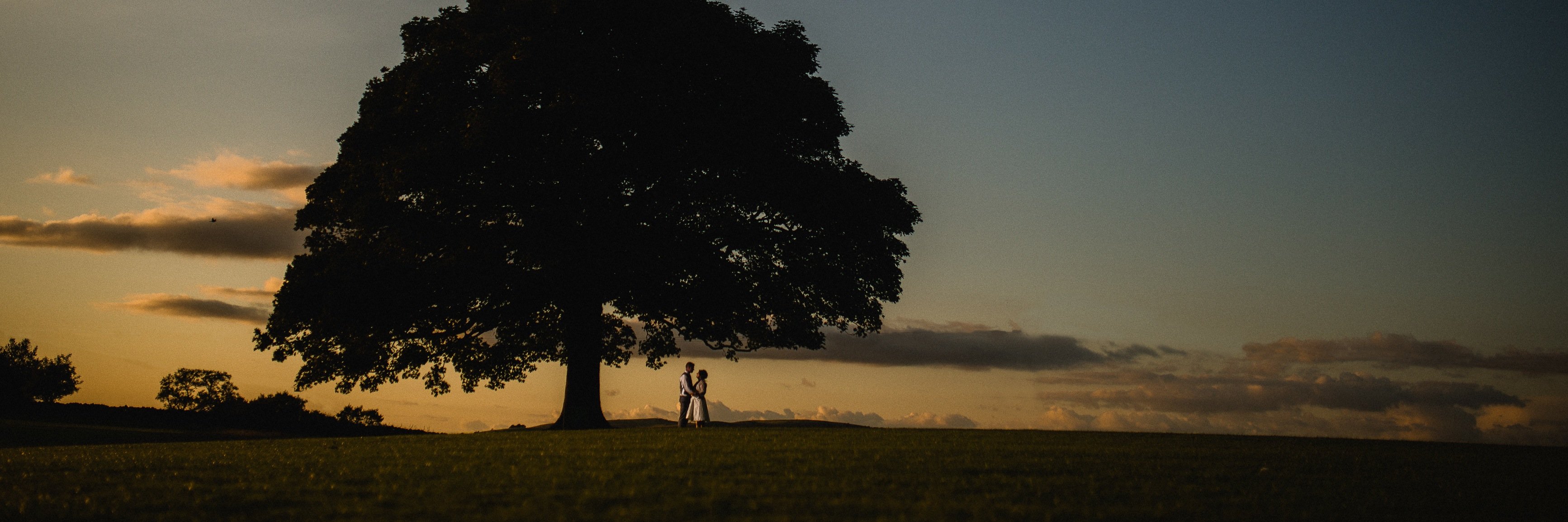 HassallPhoto's profile banner image