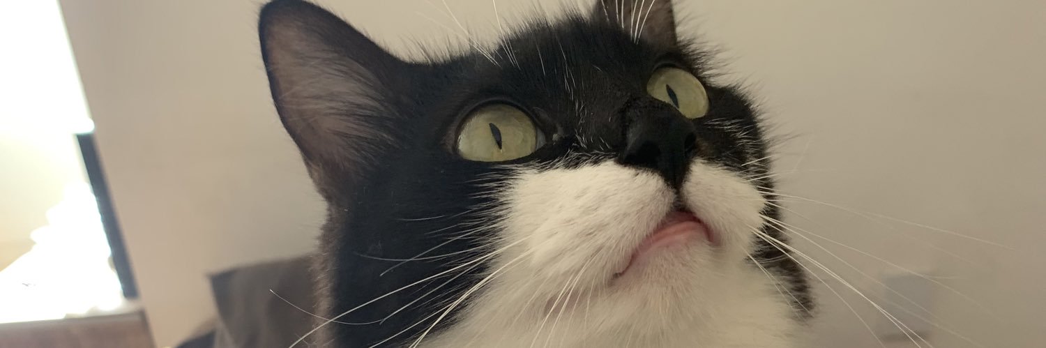 frogtay_'s profile banner image