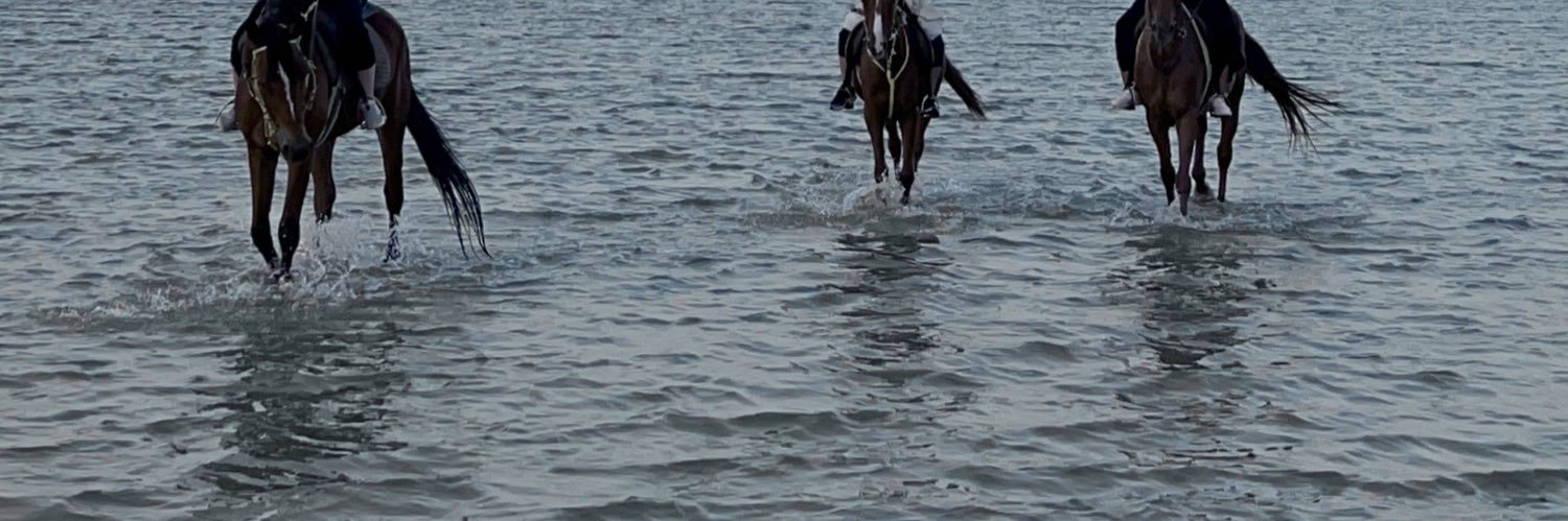 elpescadoasma's profile banner image