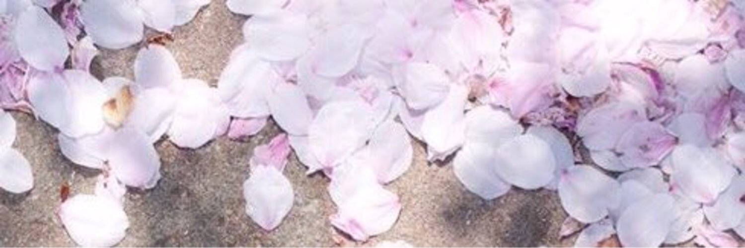 수박수영장 banner