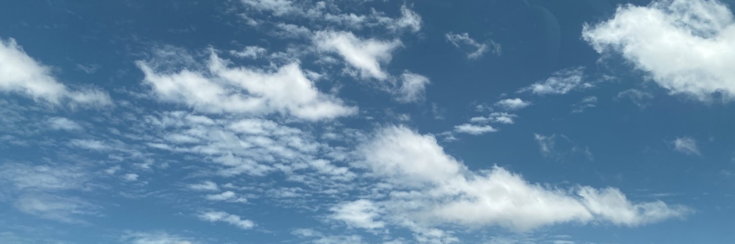 noiiza's profile banner image