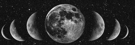 Eliana Herrera banner