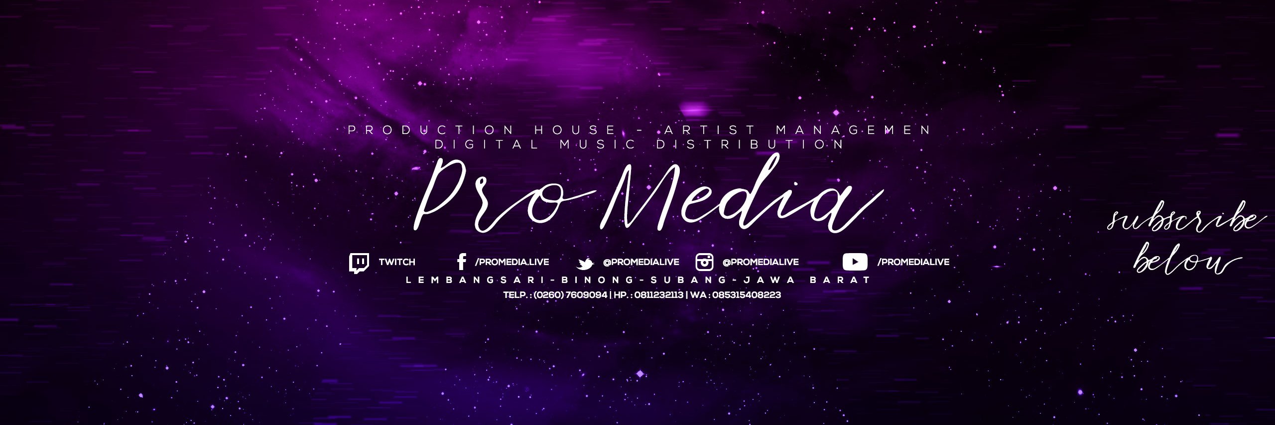 ProMedia Network banner