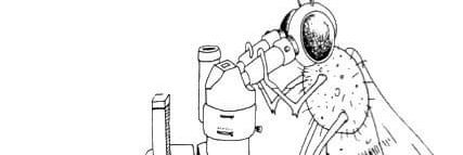 Narsimha Pujari banner